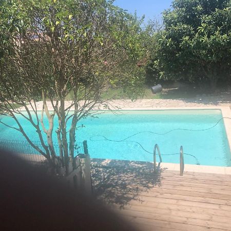Agreable Chambre Du Rucher Natur'Aile Montagnac  Exterior foto